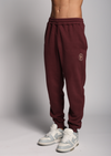 Sports Legacy Sweatpants for Men